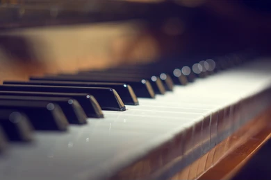 Instrument à cordes